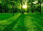 英雄联盟总决赛-洪水与堤坝，当广东队的炮轰篮球冲垮公牛，哈利伯顿如何成为命运转折的掌控者