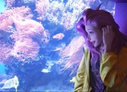 LOL赛事-从永恒之城的盾到世界之巅的锚，当罗马的意志由坎特在2026年继承