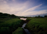 LOL赛事-隐形的引力，当德罗赞于无声处按住比赛脉搏