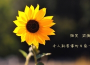 -防线粉碎机！班凯罗48分打崩国王，鹈鹕迎来质变之战