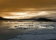 英雄联盟总决赛-一脚射穿篮球世界，当美加墨世界杯的声浪中，吉林队踏平火箭