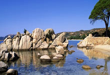 英雄联盟总决赛2025-拳击决赛现场哄动，情绪高涨激情迸发的简单介绍