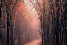 当绿茵闪电撞上绿衫铁壁！姆巴佩奥运单挑凯尔特人，数据揭秘世纪交锋