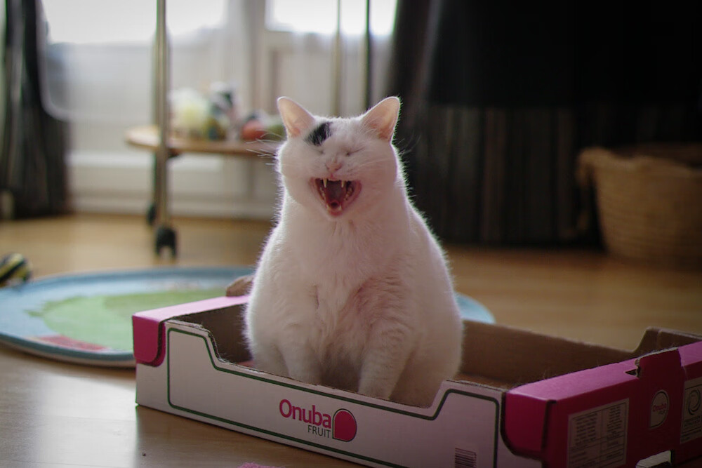 蓝色奇迹下的沉默刺客，奥利维耶一球改写塞维利亚与罗马的命运剧本