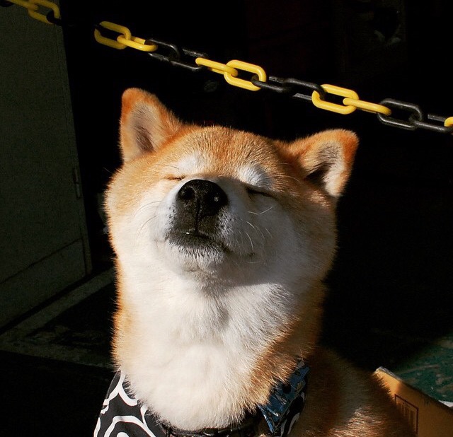 关键先生决胜时刻，拉梅洛的窒息封盖如何偷走胜利？