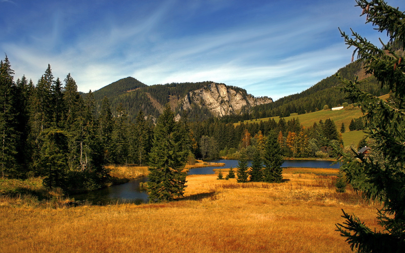 鹰起云涌,塔图姆的关键先生本色与山西队的启示