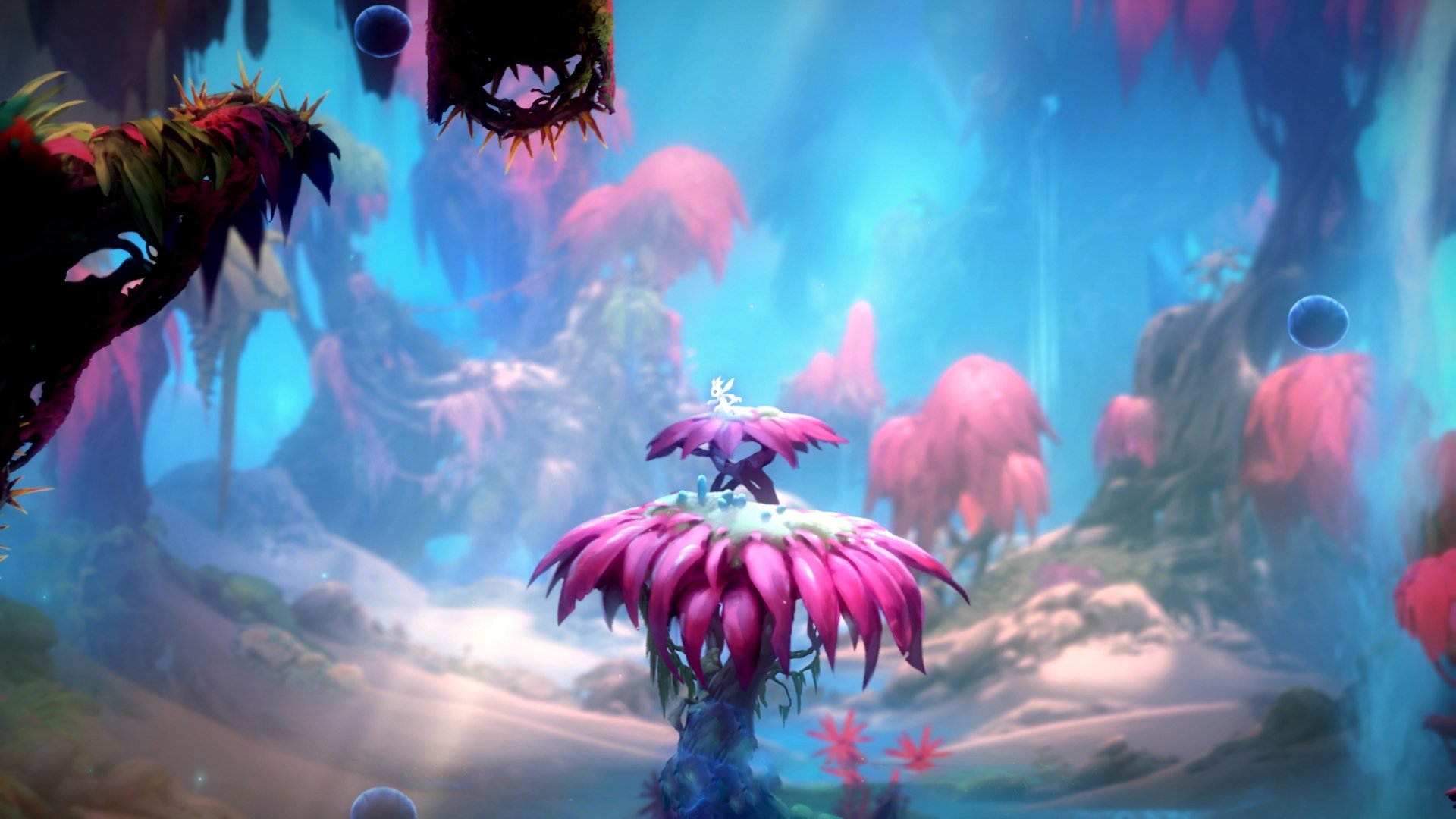 跨界联动的艺术,当塔图姆的节奏感空降洛杉矶快船,休斯敦火箭如何迎接这场非典型遭遇战?