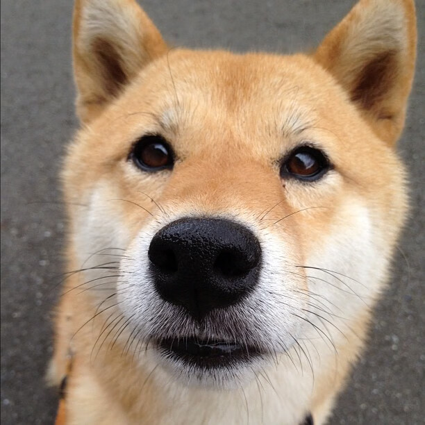 孤星炸裂焰卷费城,独行铁骑踏碎恩比德叹息