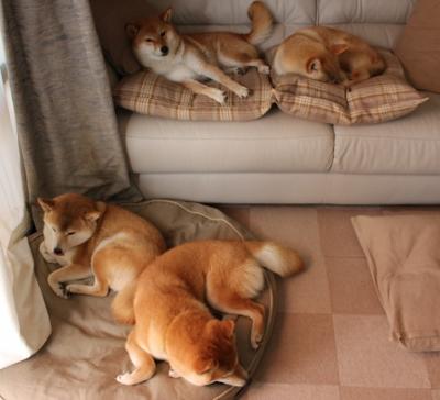 唯一焦点，爱德华兹照亮NBA季后赛之夜