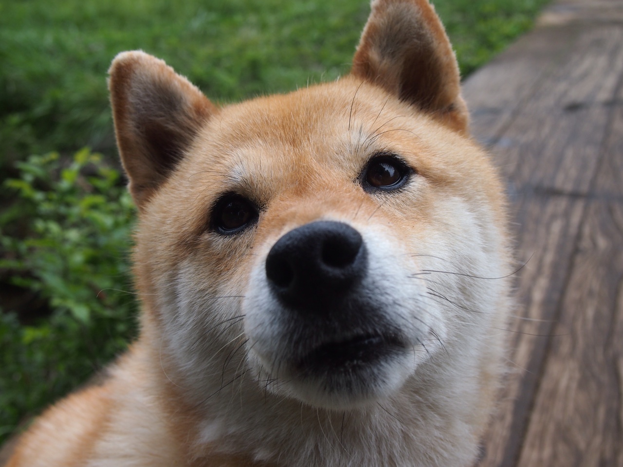 势如破竹，从英超焦点战到NBA单节风暴，看竞技体育的决定性瞬间