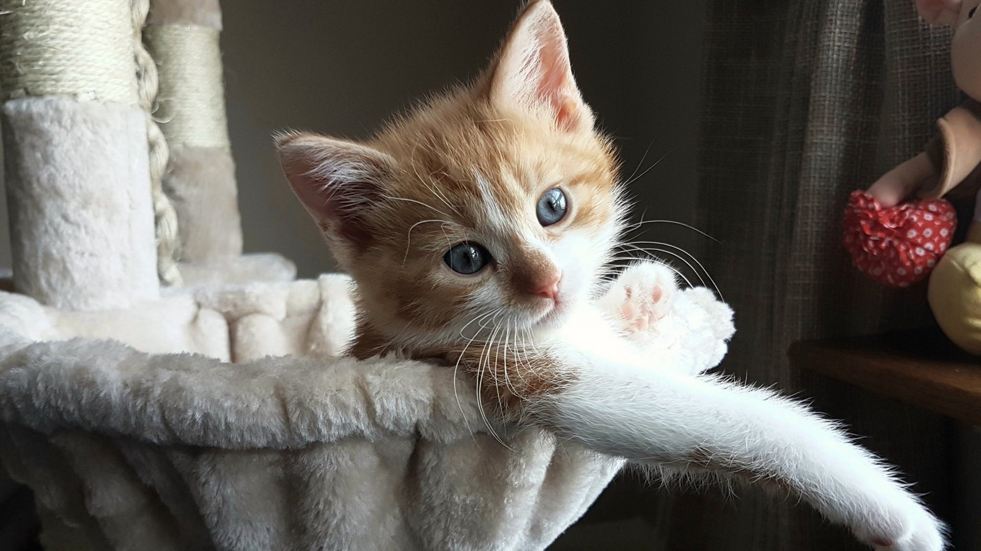 荒诞的石头，一颗意外投出的石子，如何击碎希腊神话并掀起世纪涟漪