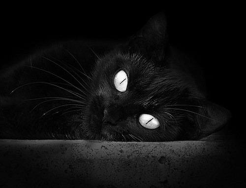 当恩比德精神降临黄龙，浙江队粉碎新疆队的制胜密码