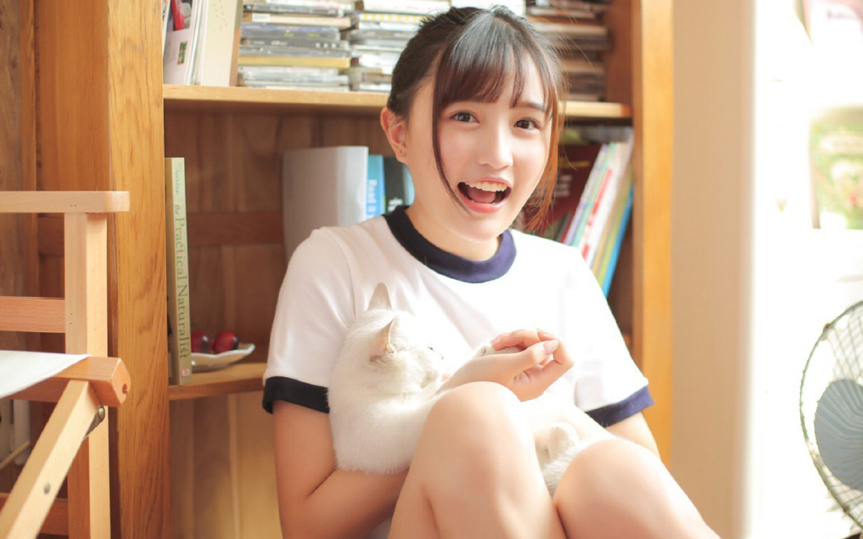 一夫当关，万军莫开—阿劳霍铁血统治，尼斯险境突围中国远征军