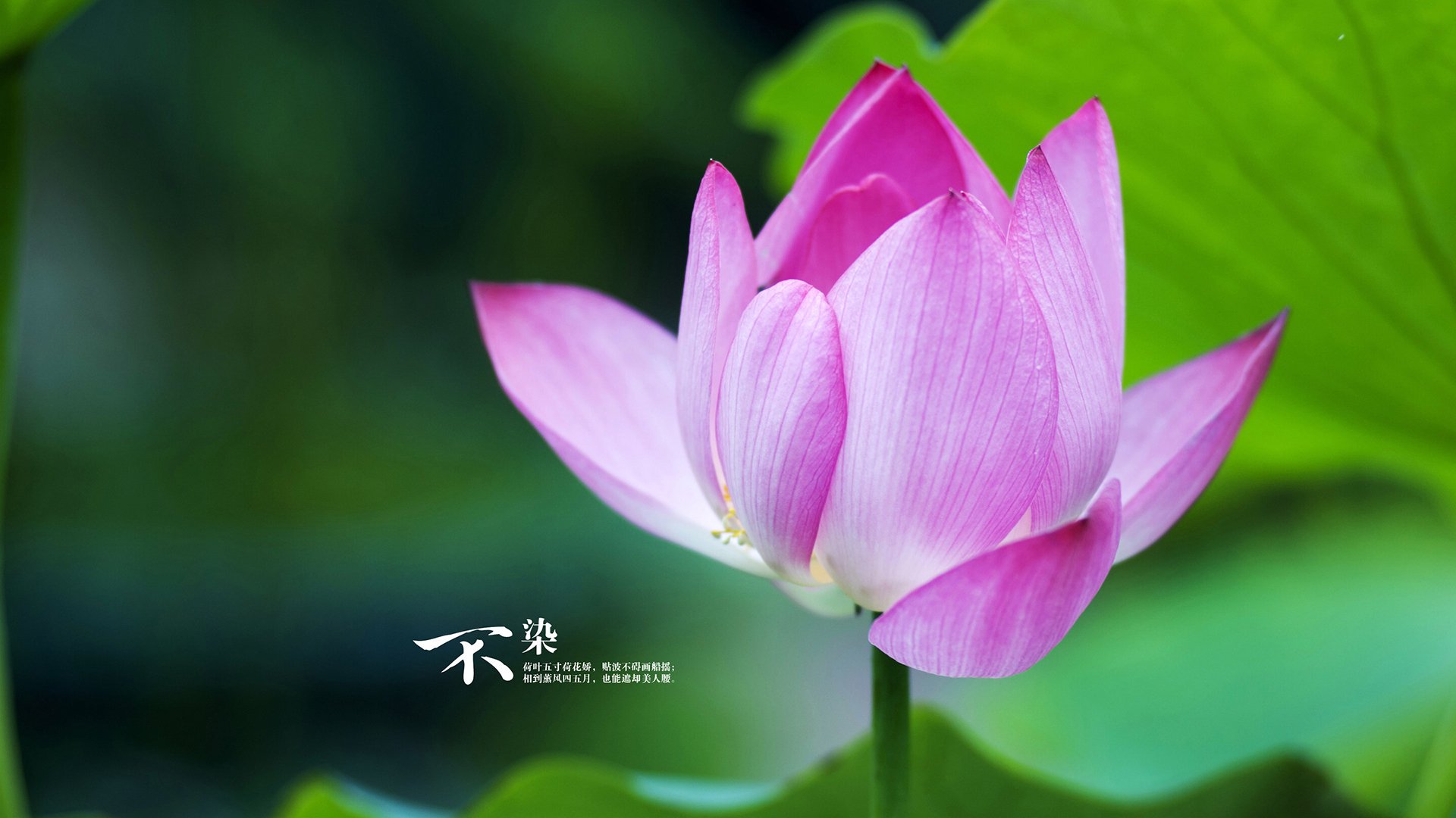 东方奇迹,深圳队掀翻热火王朝,詹姆斯压制级发挥成华丽挽歌