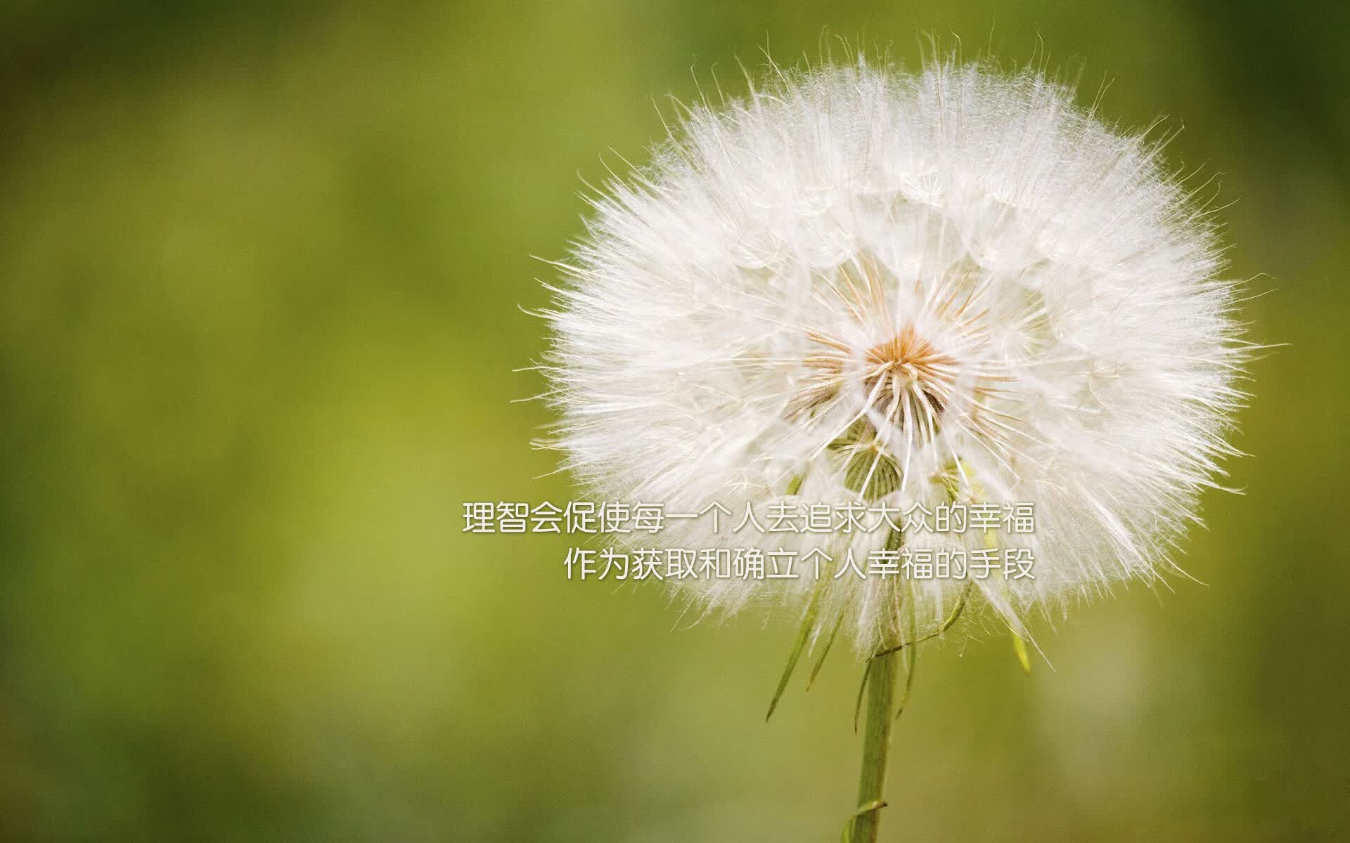 荣耀与悲鸣,佩德里91分钟绝杀,阿根廷复仇克罗地亚,书写世界杯唯一剧本